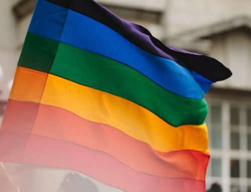 5 LGBTQ-Owned, Sustainable Businesses to Support This Pride